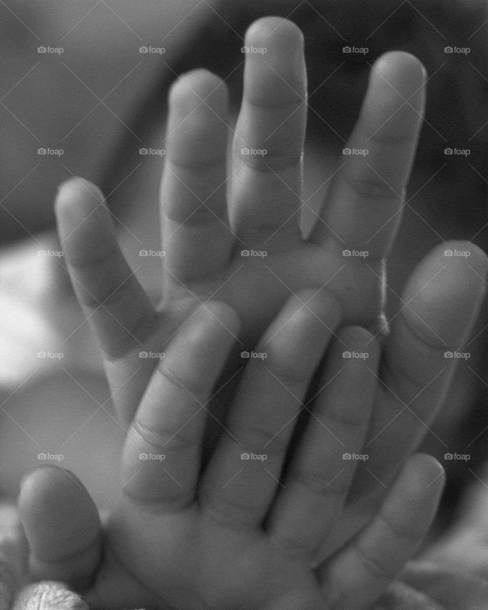 blank and white photo of a child's hands