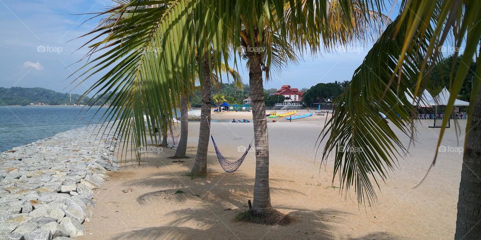 Best scenery for relaxation and memory