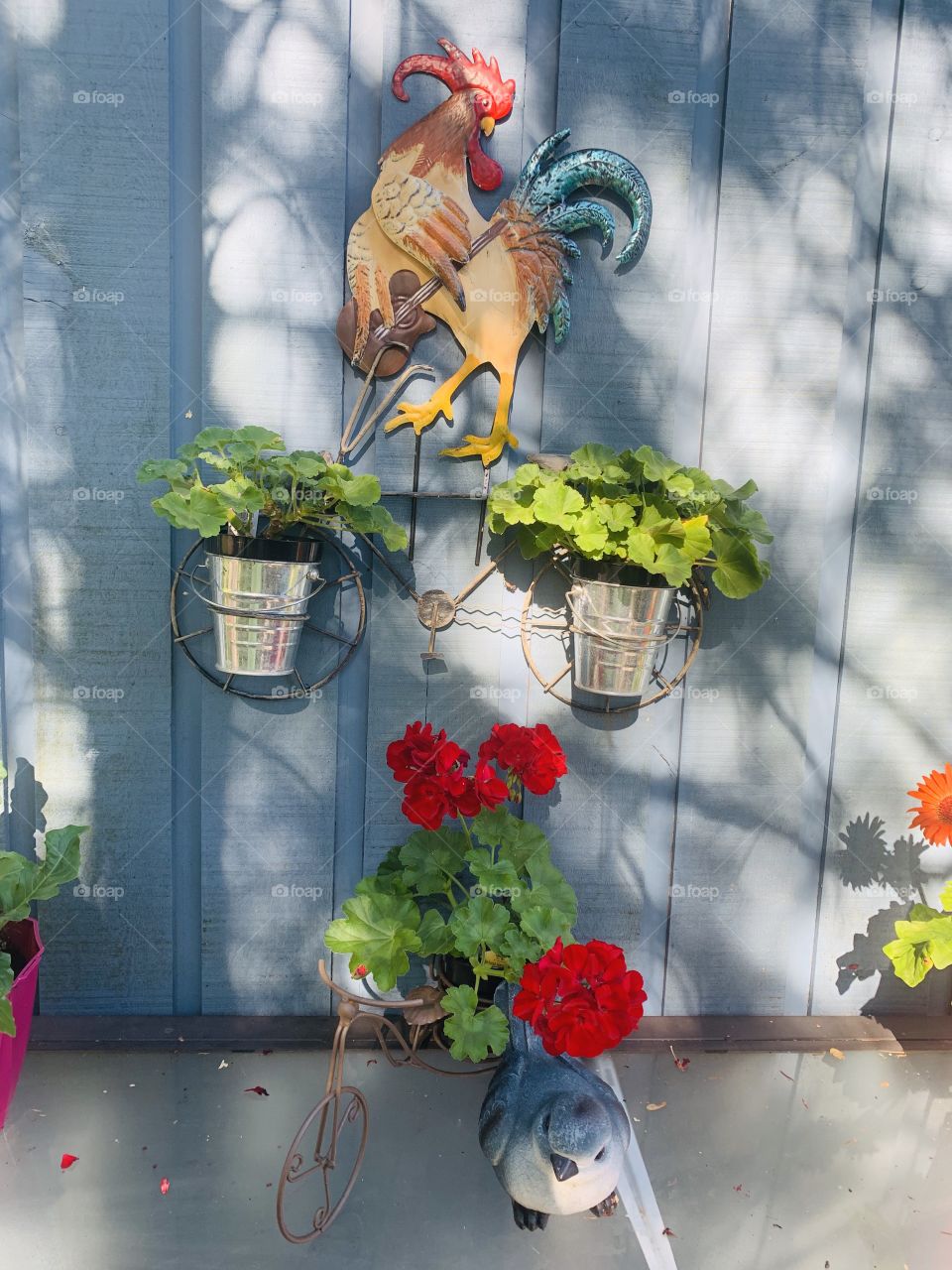 Summer time with my flowers at the countryside house 