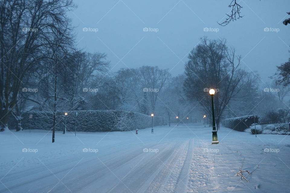 Empty  street covered with snow , lamppost casting the light on it