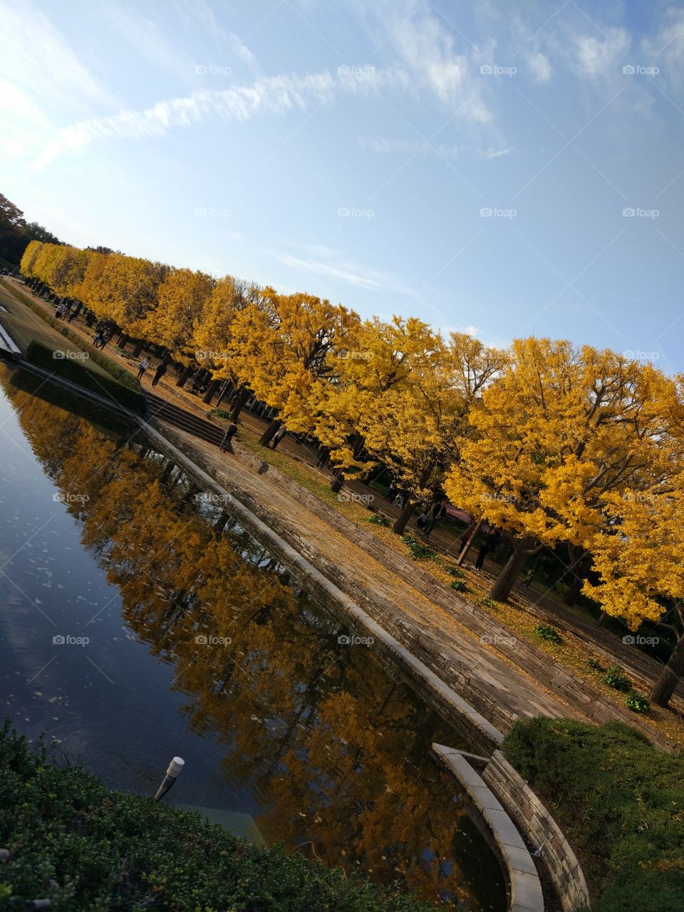 Beautiful park at Tachikawa,Japan