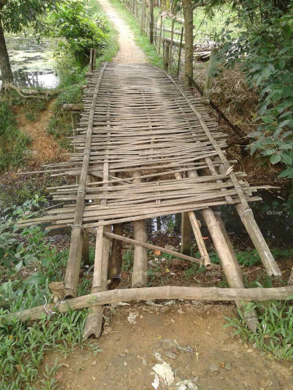 Bamboo Bridge