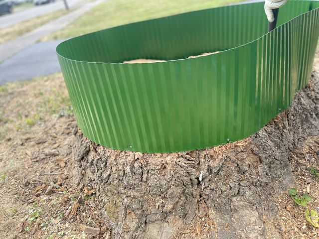 Beautiful Tree Stub Fence for flower planting decoration 2