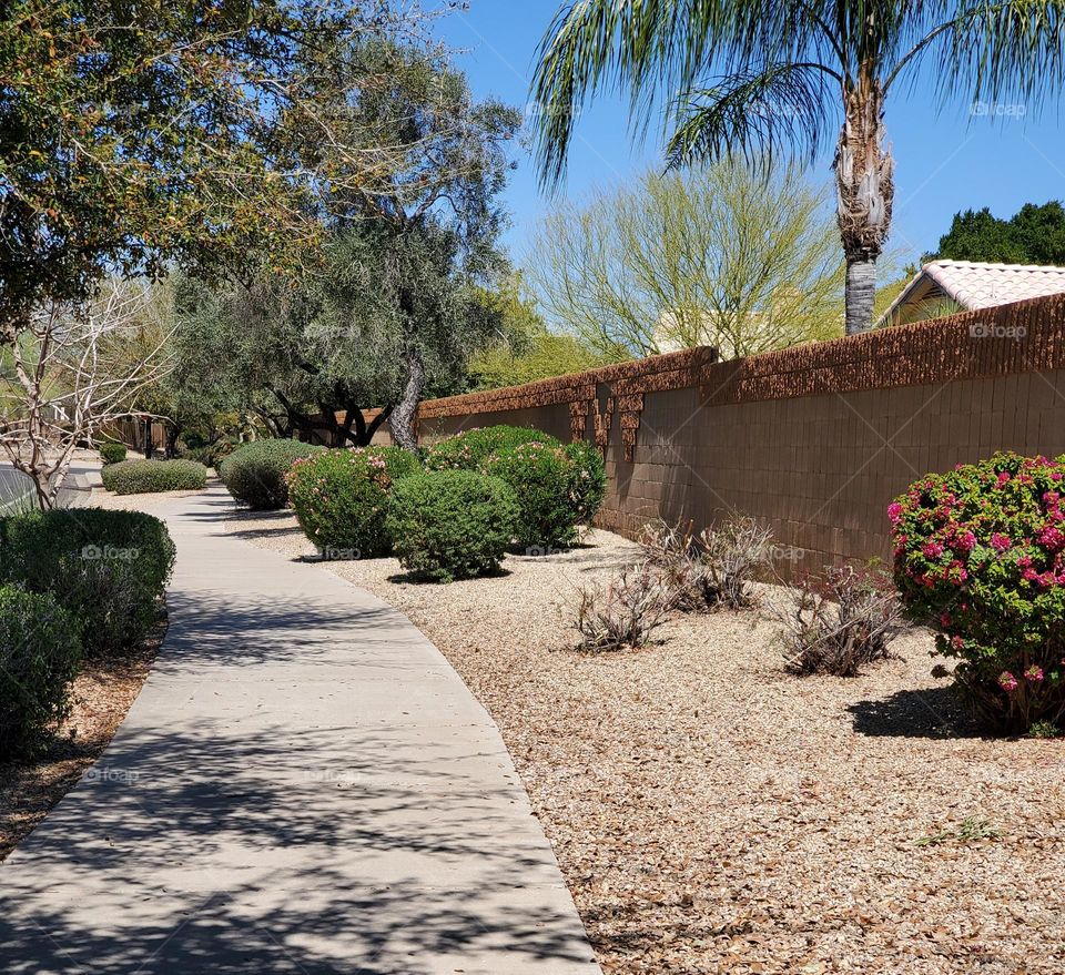 Walking on a Spring Day
