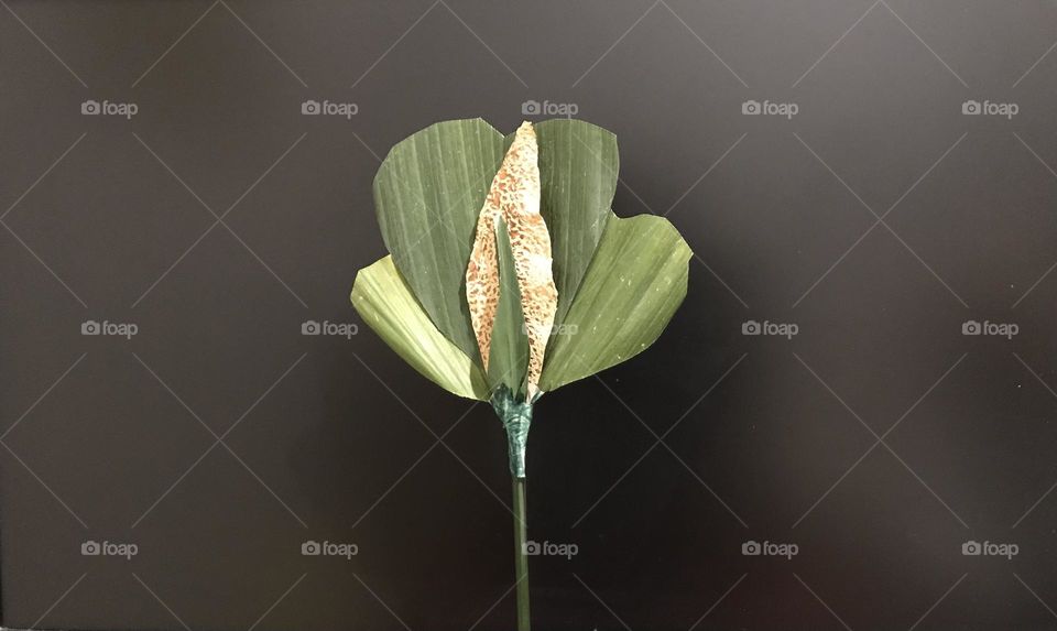 There is no waste in this world. Look around yourself! Making a craft is fun. My craft 😊