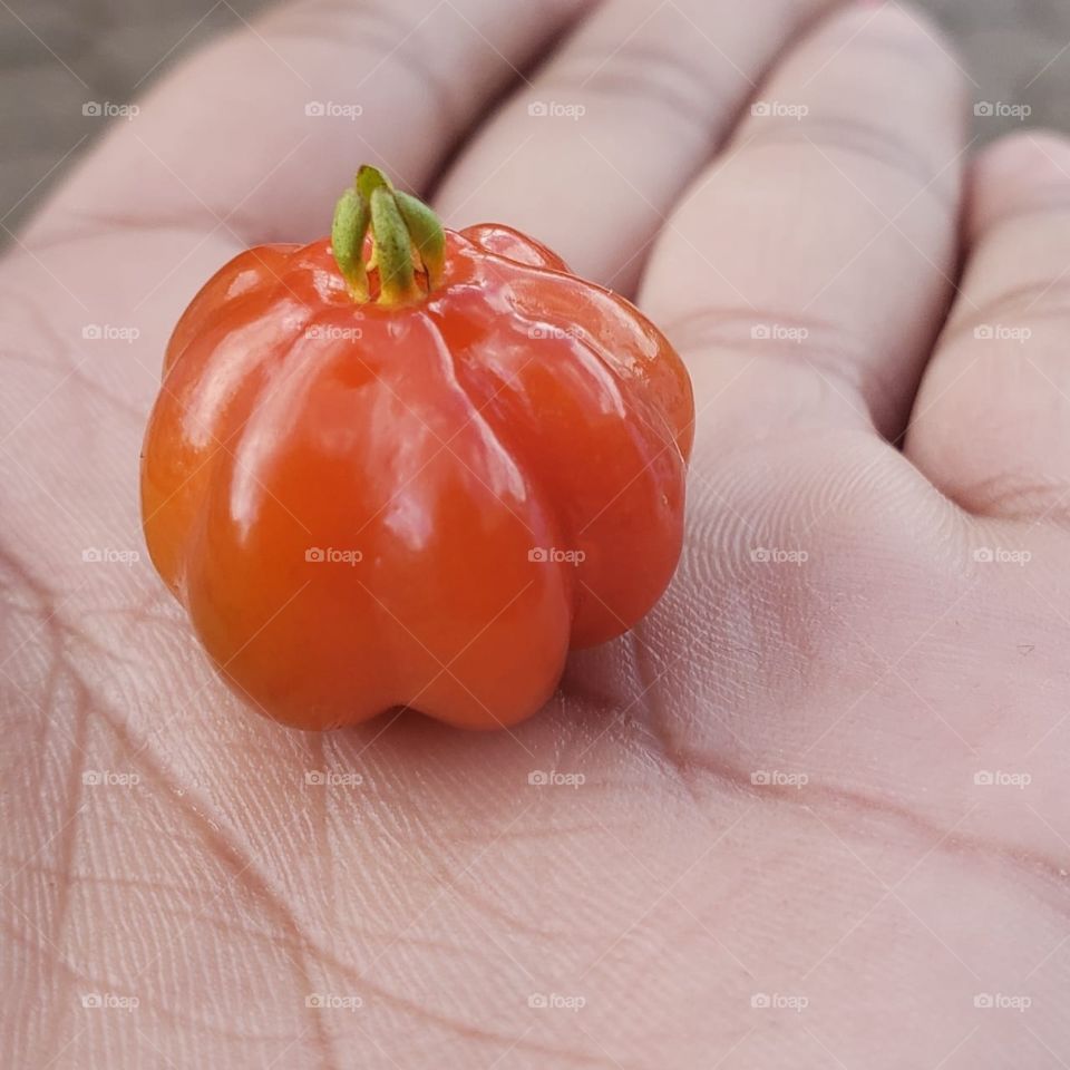 Small Fruit