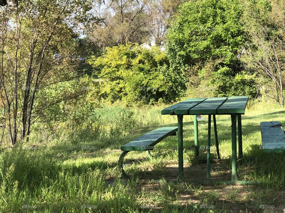 Picnic table at the park