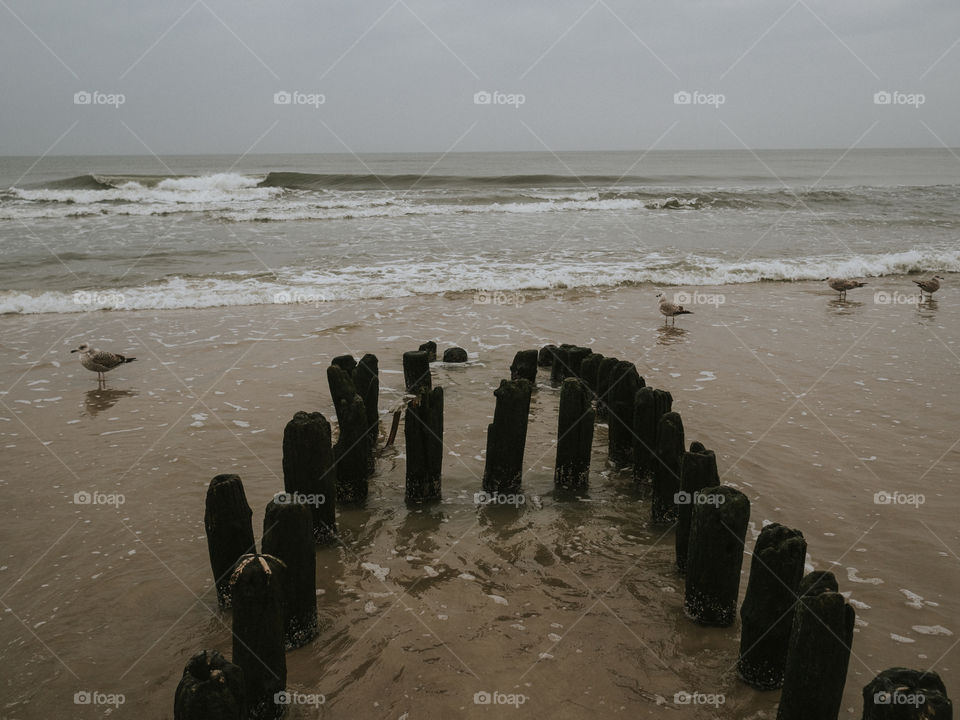 sea landscape in the late winter