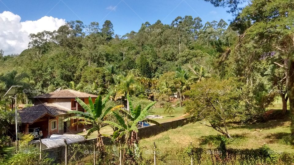 Do alto da Serra do Japi, na Vila do Paiol Velho, a quietude da Natureza não tem fim. 
Bom ou não?