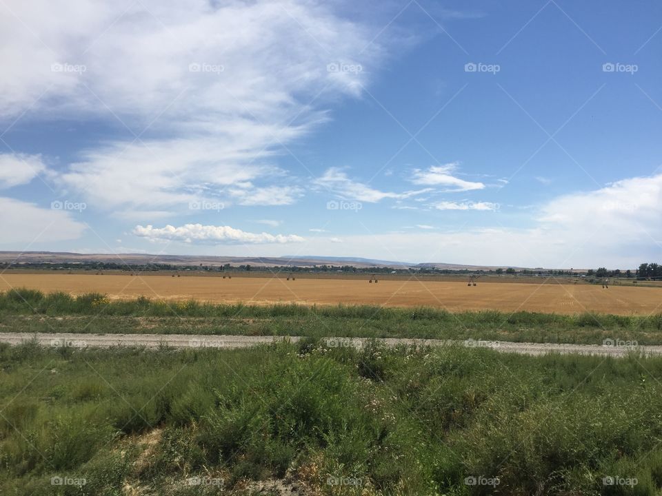 Landscape, No Person, Agriculture, Sky, Tree