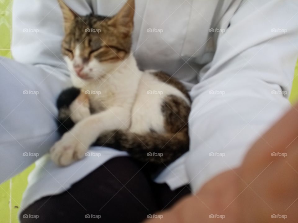 Just a few minutes this cat Will be my freind