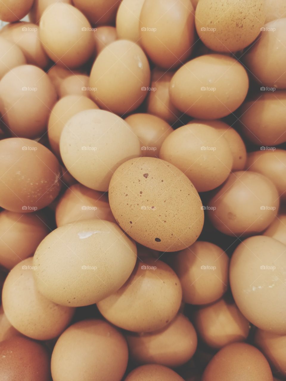 eggs