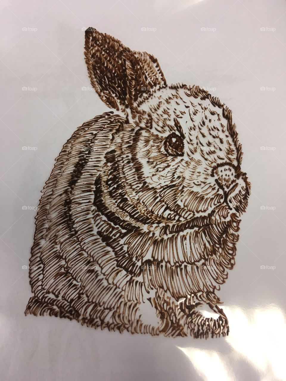 Bunny drawn in chocolate 
