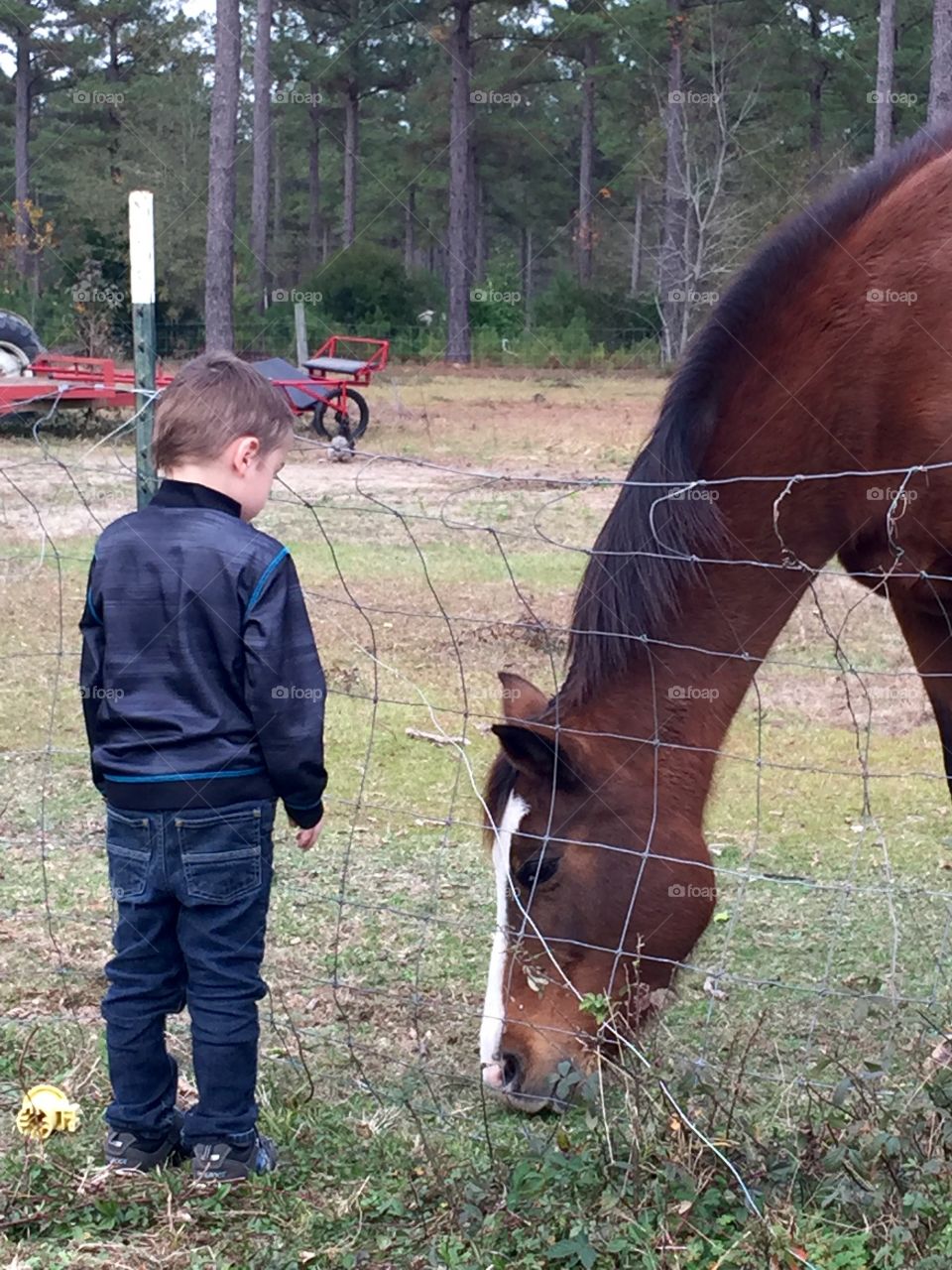 A boy and a horse <3