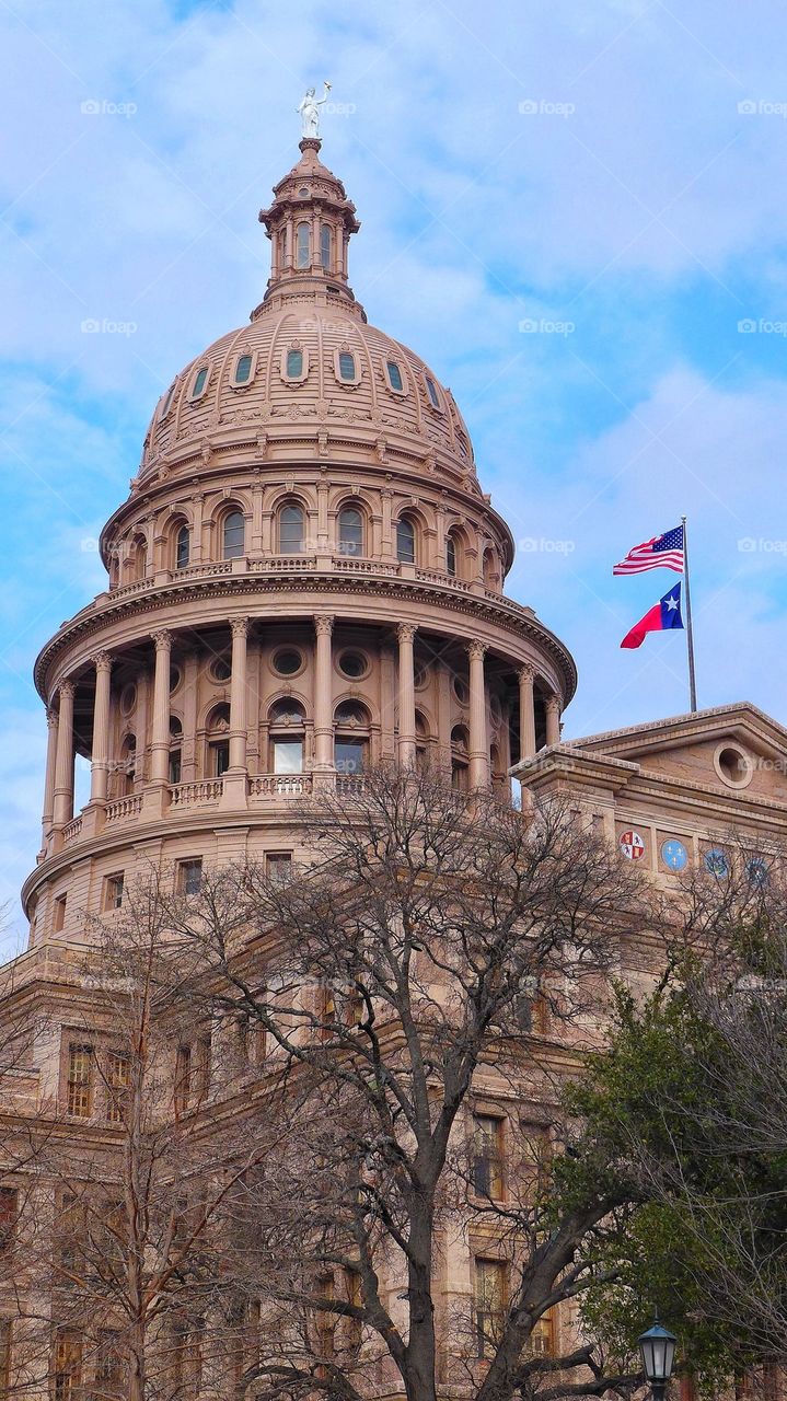 Dallas Texas Capitol