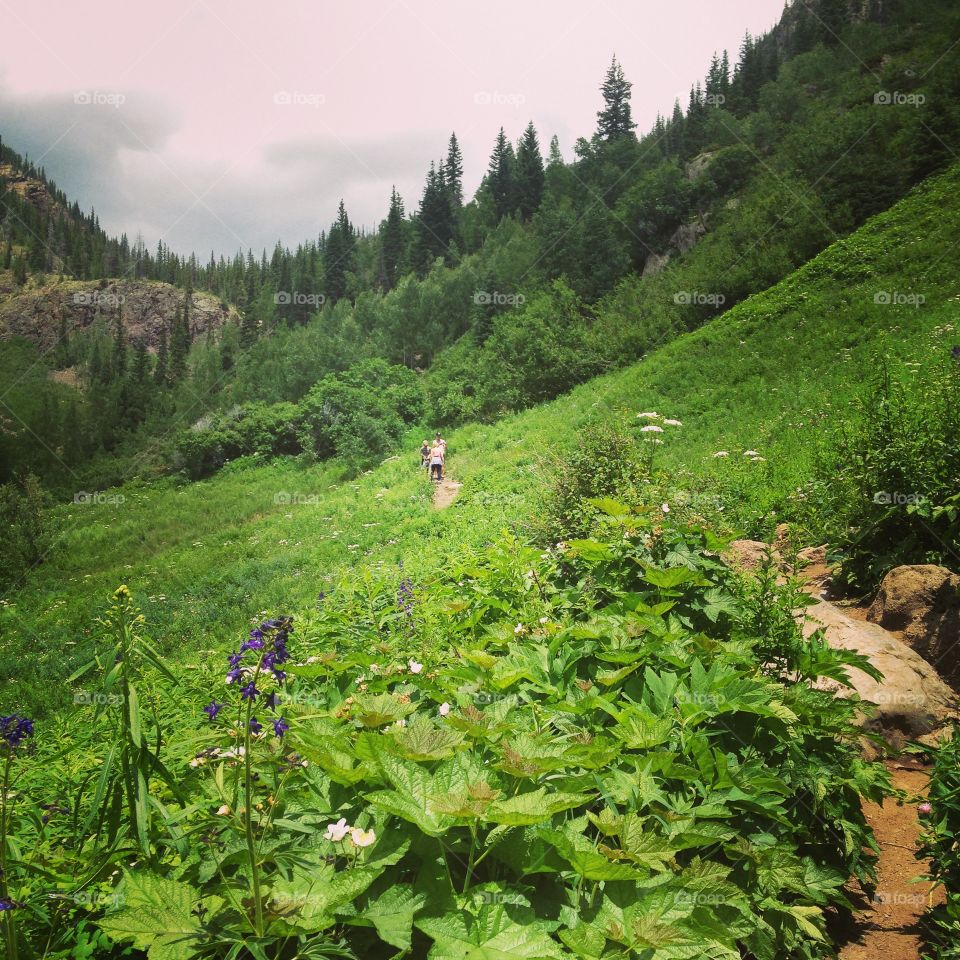 Vail in the summertime 