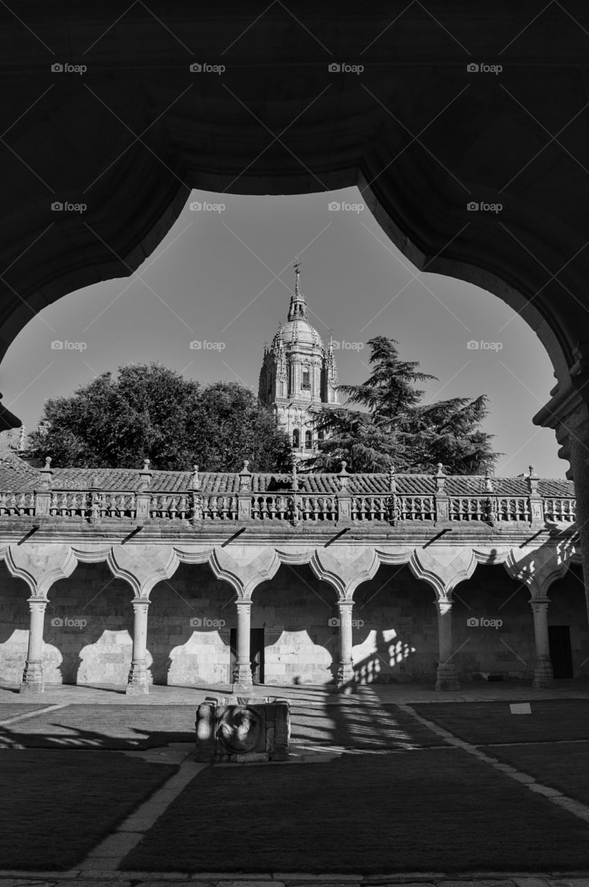 University cloister. View of the tower of Salamanca cathedral from the cloister of the University, Salamanca, Spain.