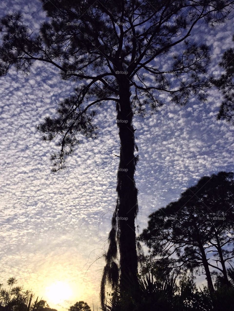 Beautiful cloud pattern and sun