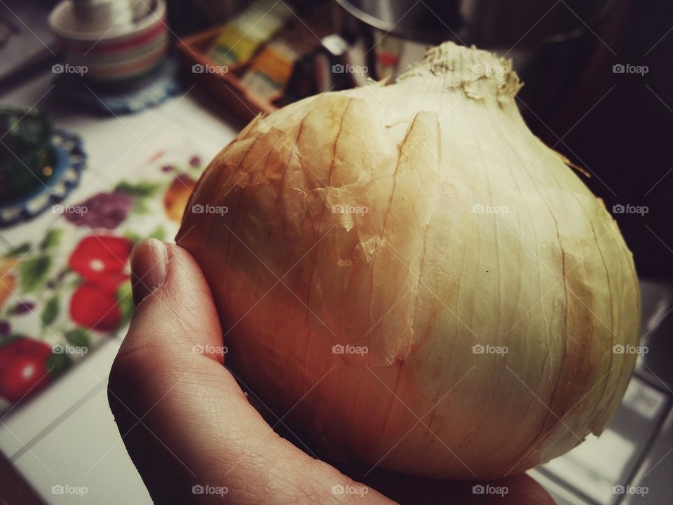 Holding a Yellow Onion in a Kitchen