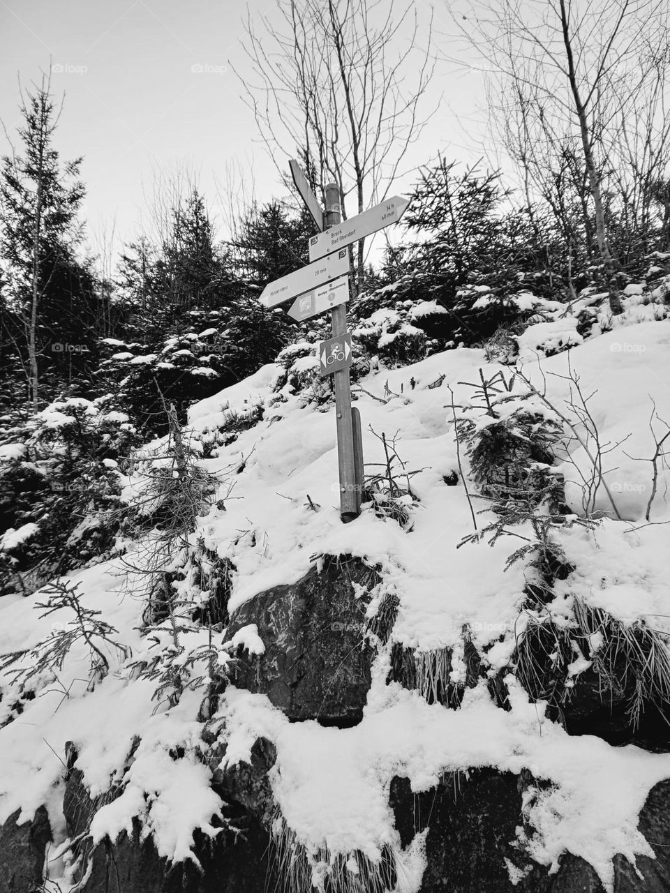 Directional Signs on Mountain Trail