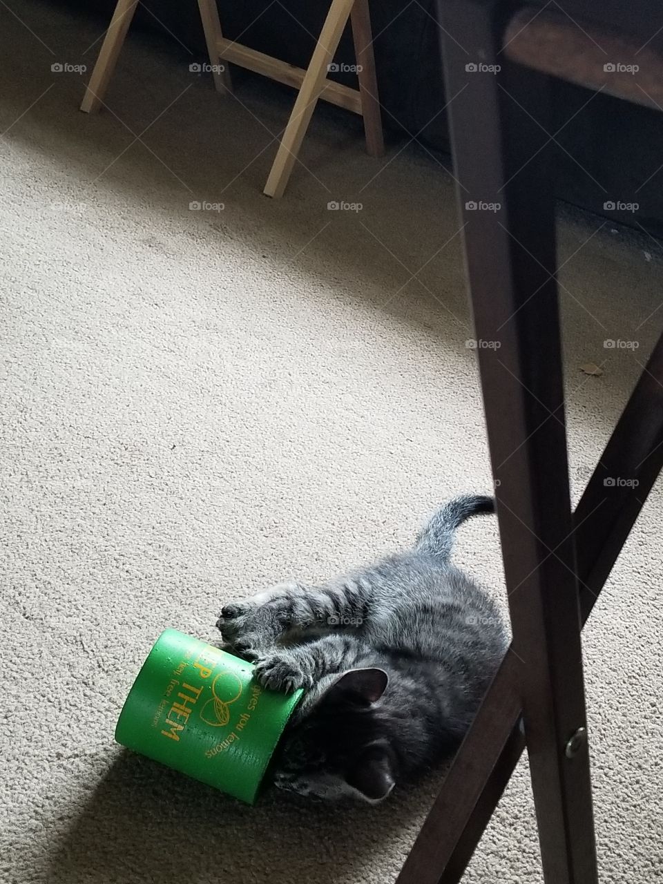 hey, anything in here for me to eat?