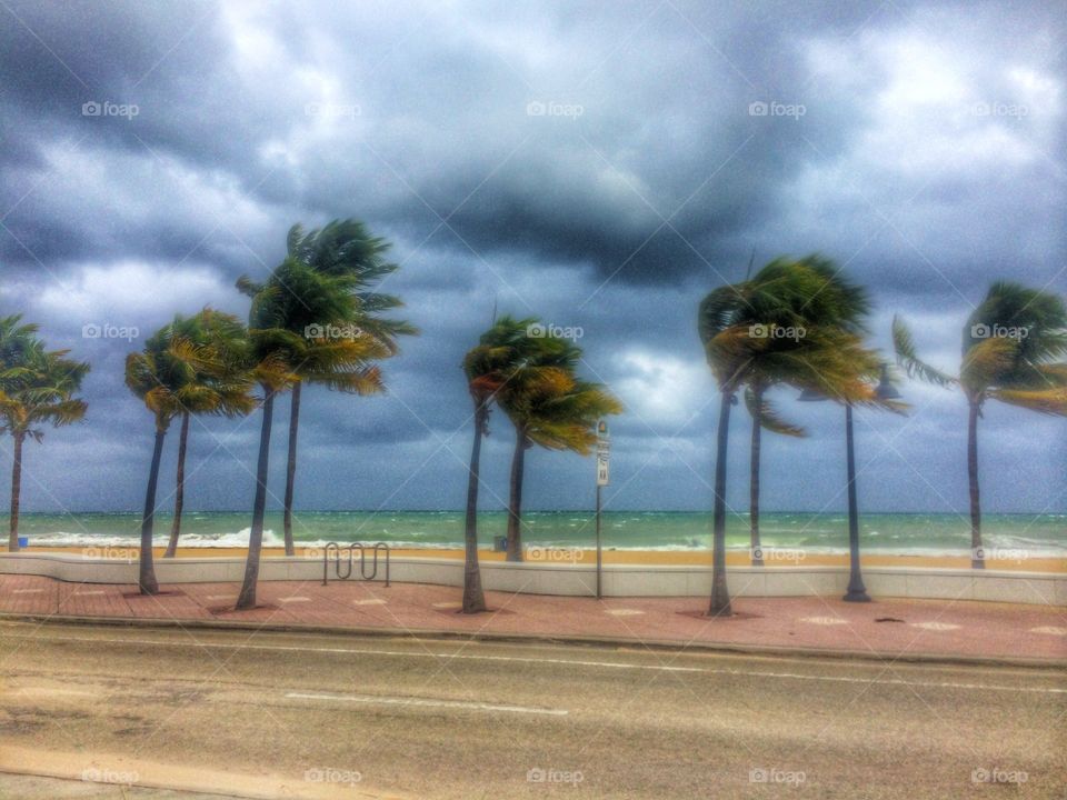 Fort Lauderdale Beach