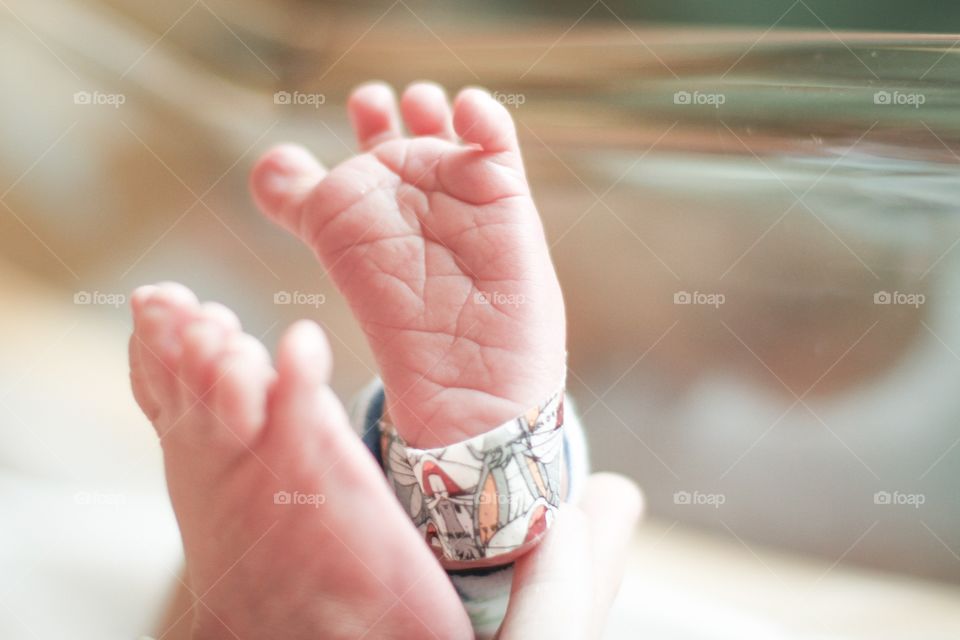 Tiny Toes