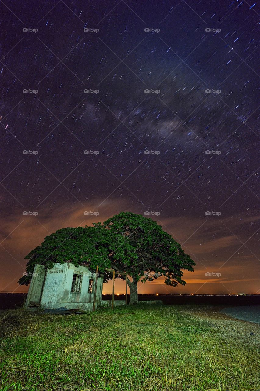 Night stars over the single tree