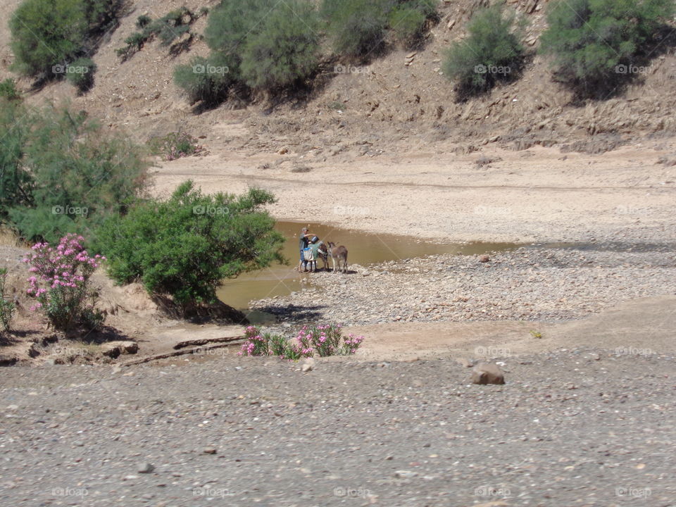 water is very important all days donkeys go to and fro to provide it from the nearest river