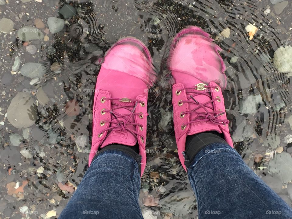 Pink timberland in glacier waters