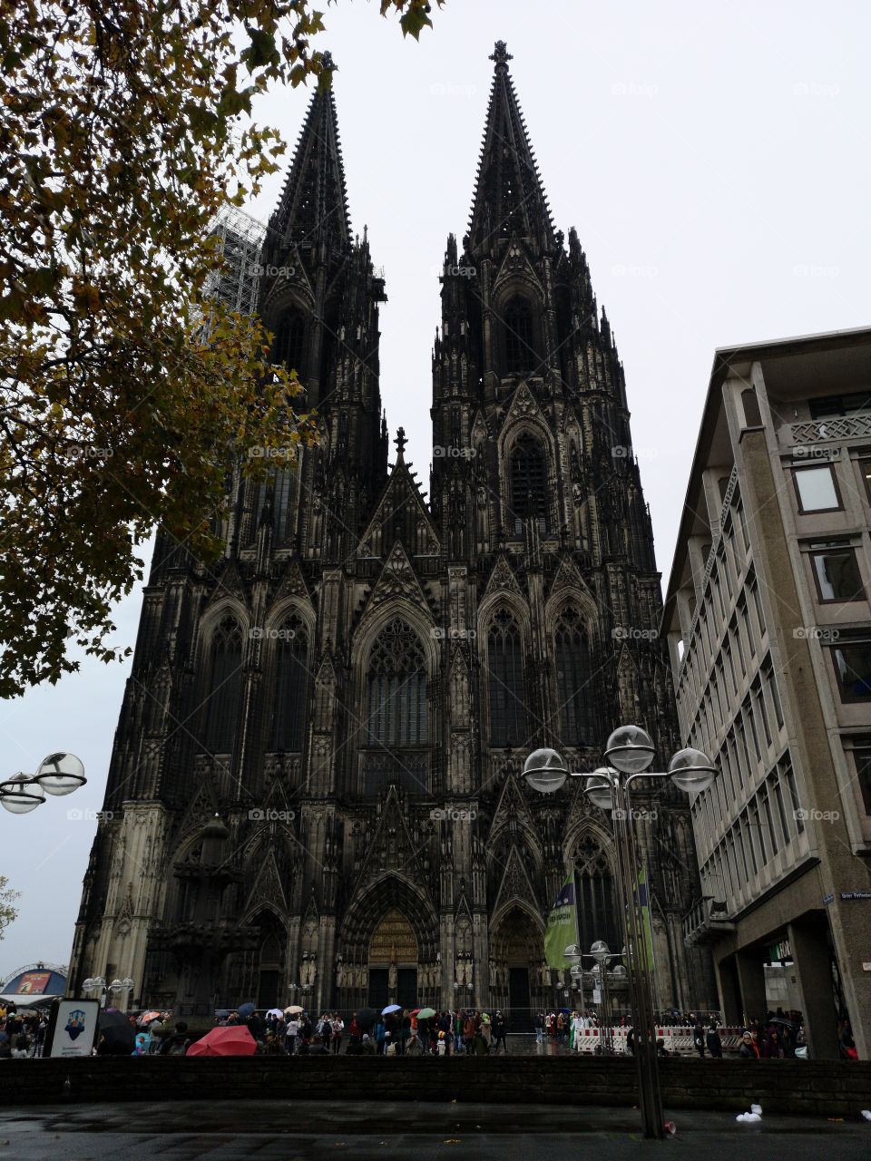 Koln