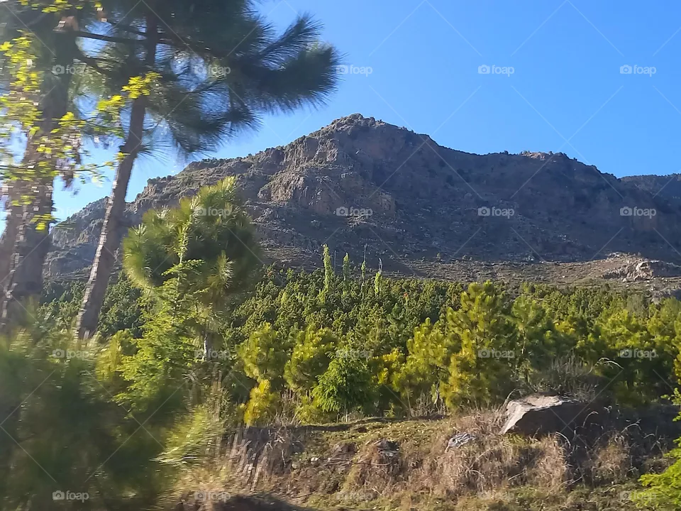 green mountain