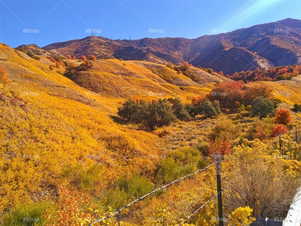 autumn colors on the oquirrh mountains