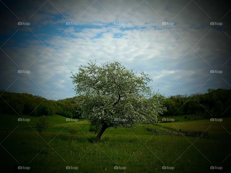 Driving the Back Roads and enjoying everything around us