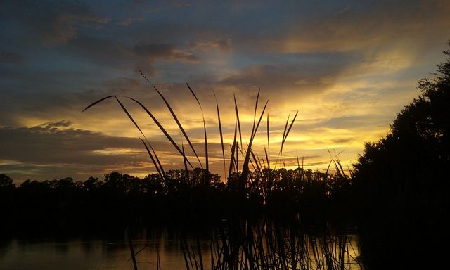 summer sky