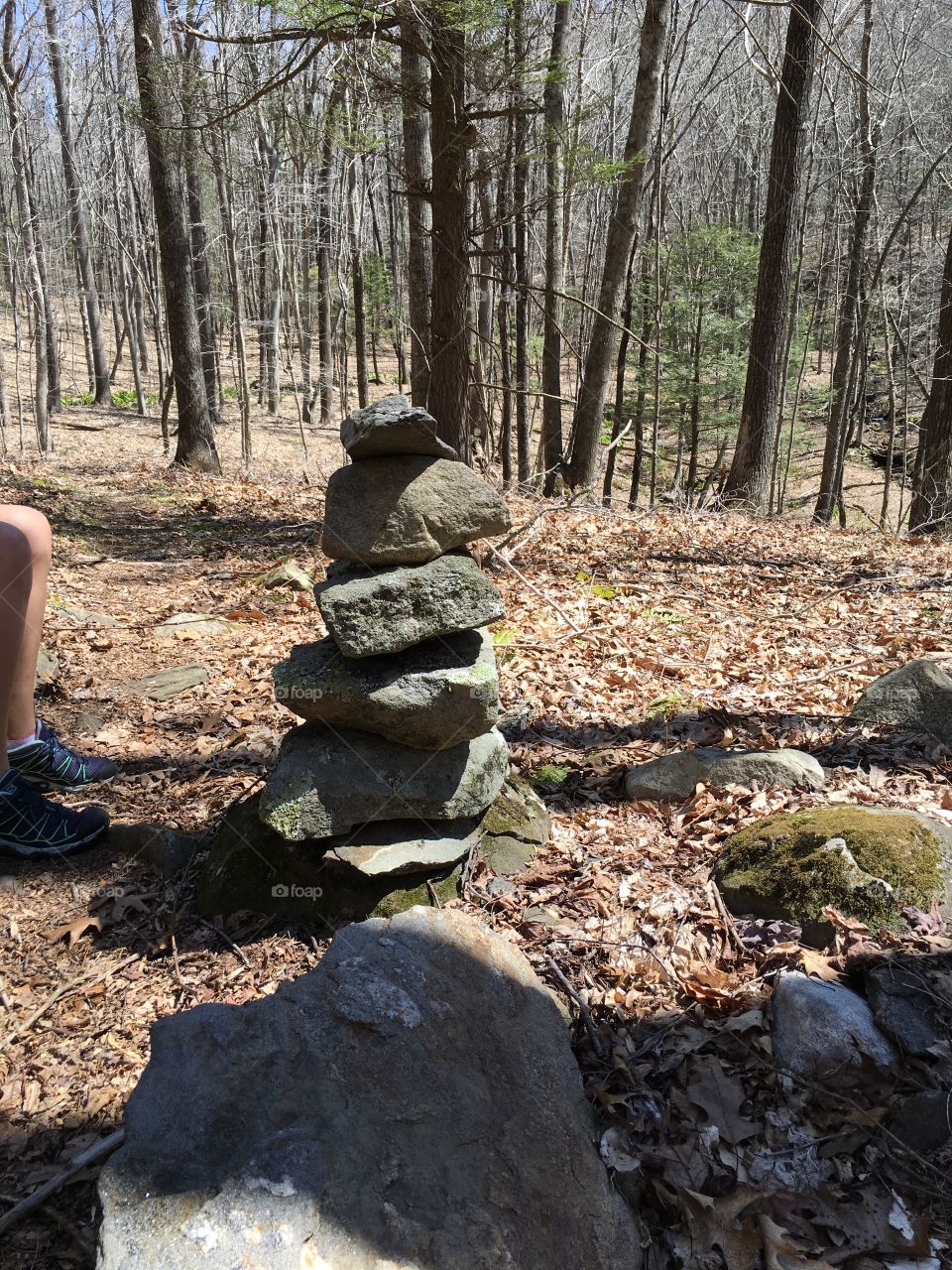 A cairn a day keeps the Dr away!