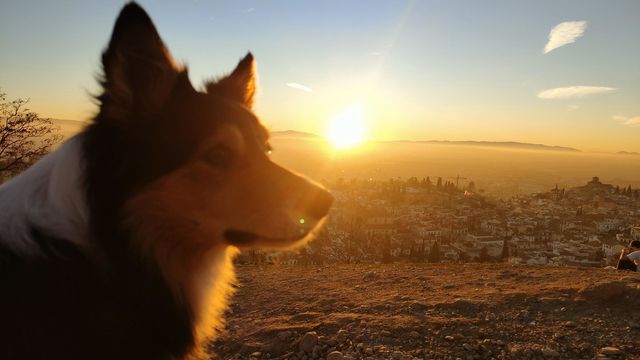 atardeceres de la vida