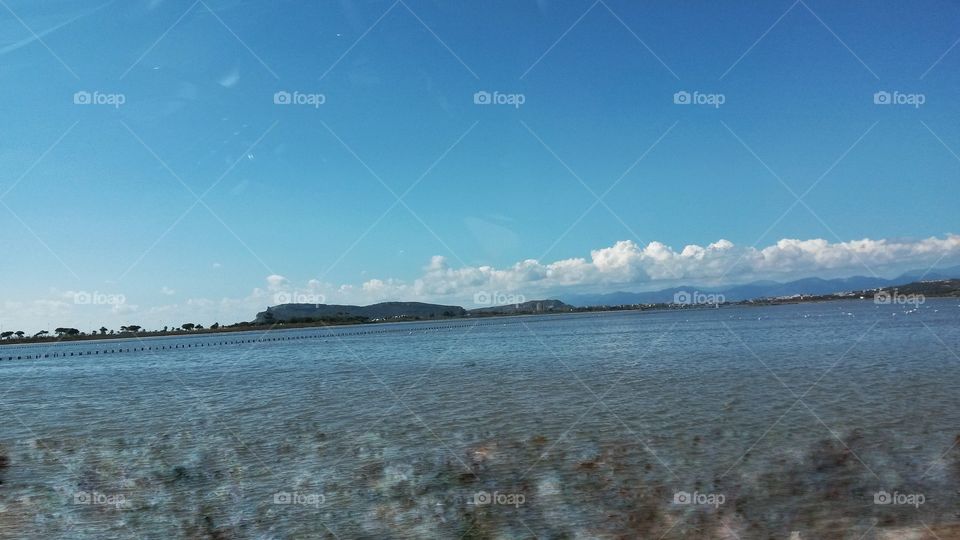 Molentargius pond, Sardinia, Italy
