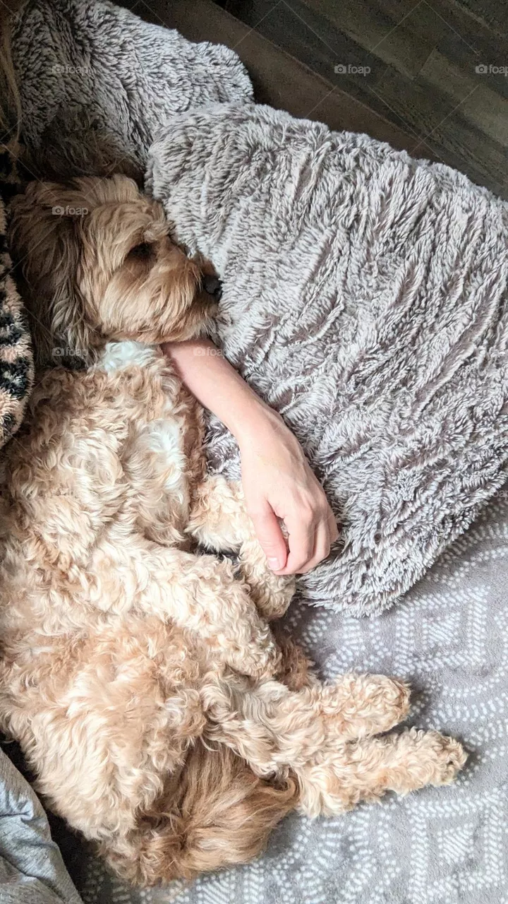 afternoon snuggles