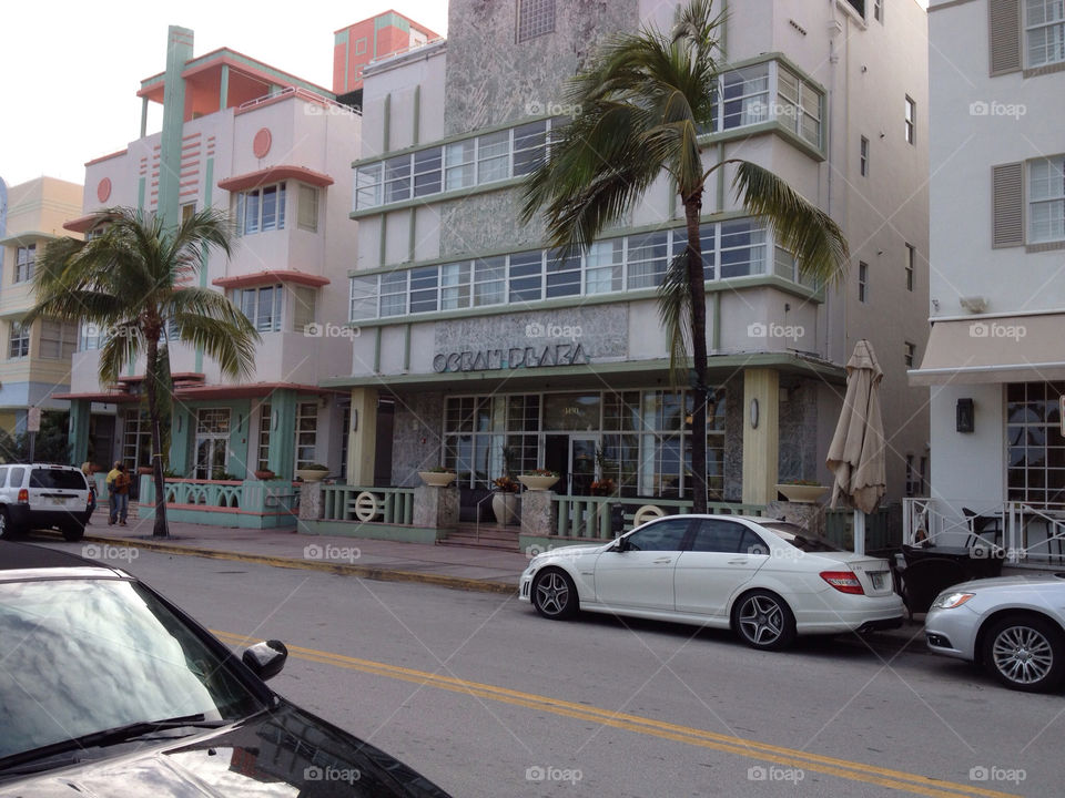 street palm trees art deco hotels by markworld