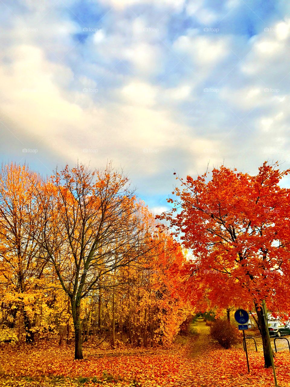 Autumn in Stockholm County