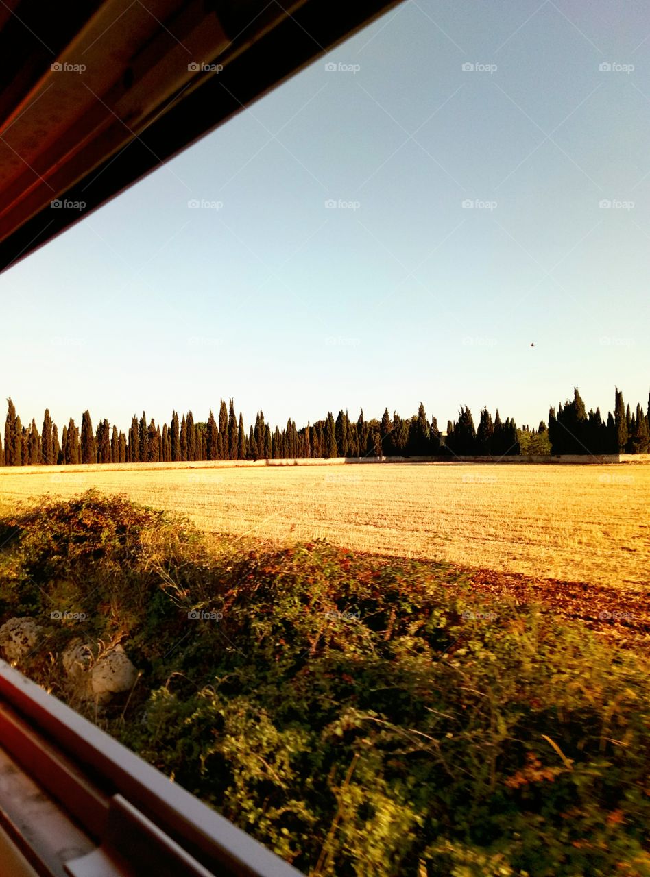 From a train window