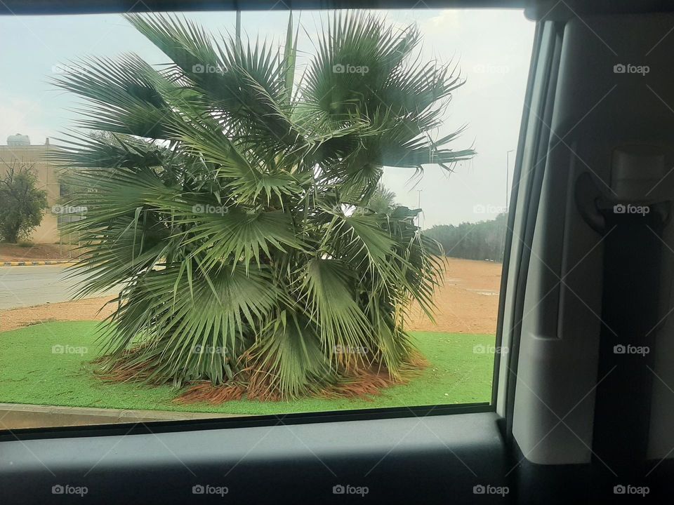 Please help me, I am very poor, I need your support and God is in need