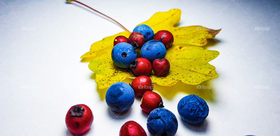Autumn fruits!