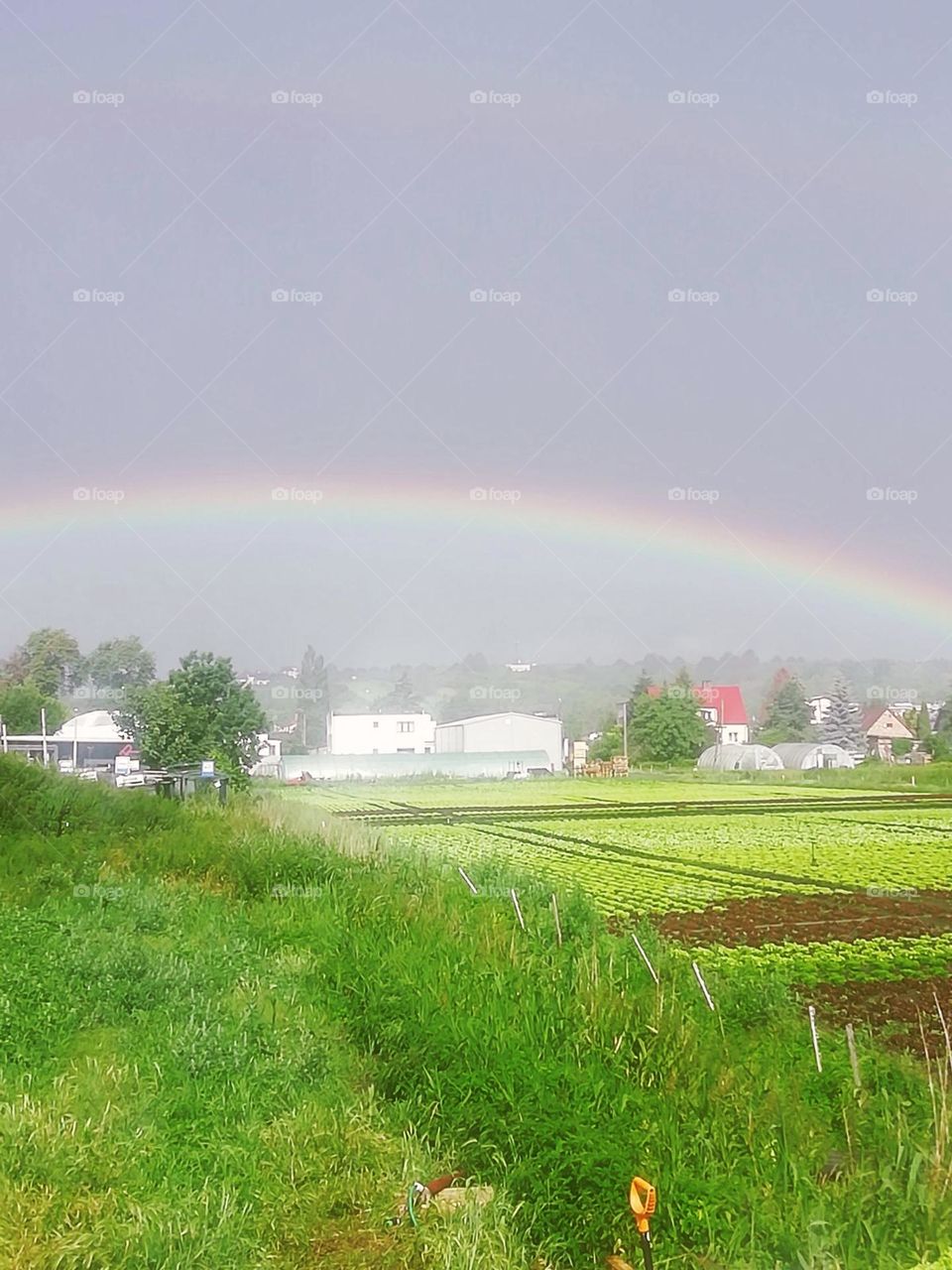 be authentic go green