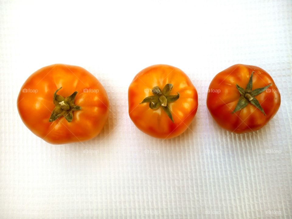 tomatoes on a white background