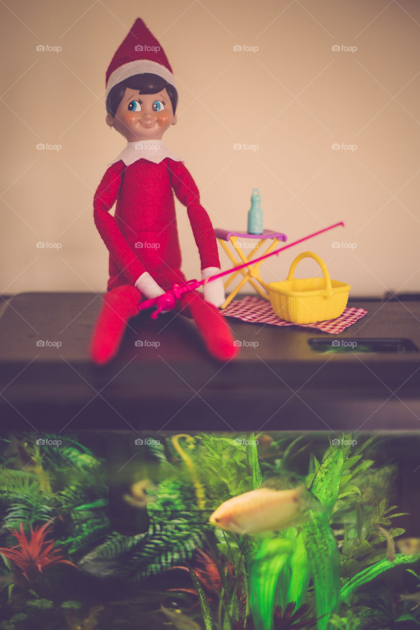 Elf on the Shelf