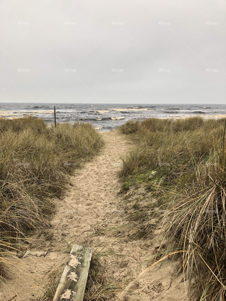 Path to stormy waters. Åhus sweden. Cold winter day with cold winds. Sandy beaches abandoned 