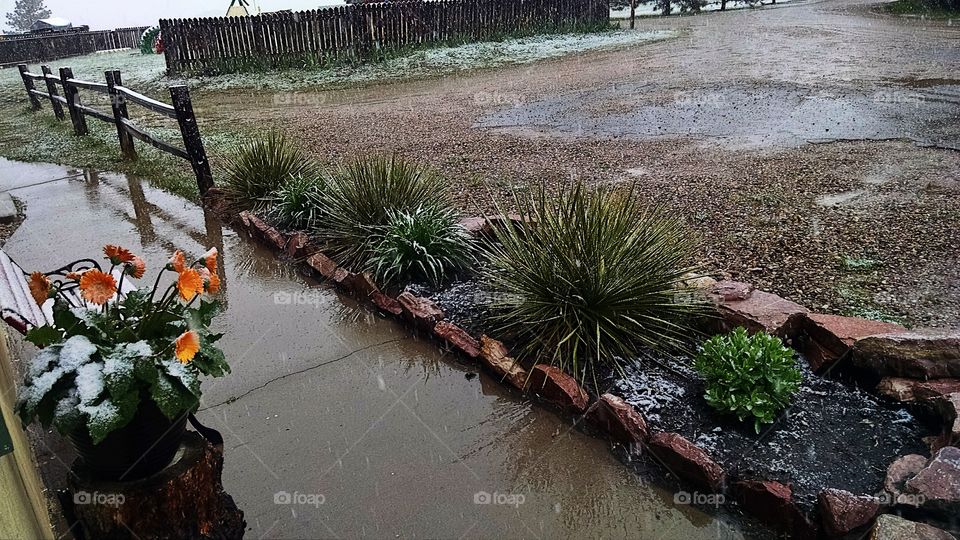 Autumn rain and sleet