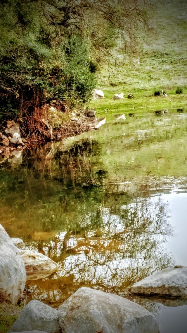 Lake